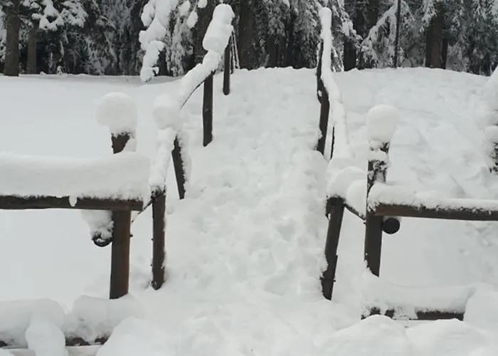 Hébergement de vacances Casa Luca Prato 1 Via Delle Pinete Snc